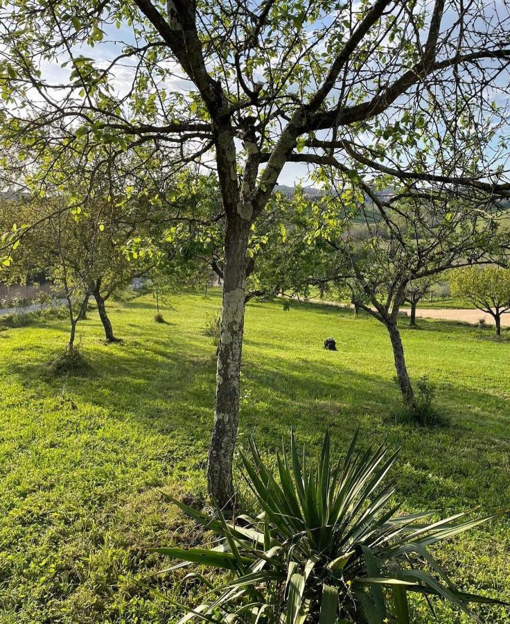 Agriturismo La Corte Del Sole Siena Kültér fotó