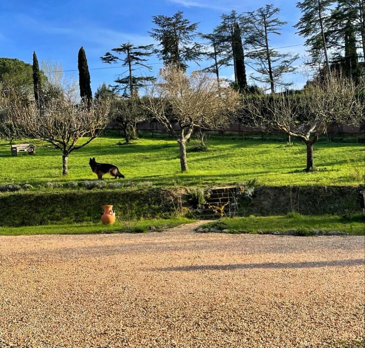Agriturismo La Corte Del Sole Siena Kültér fotó