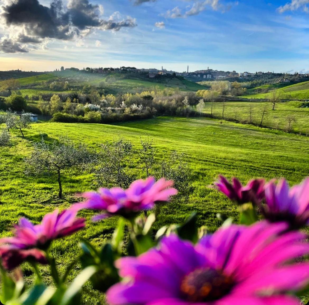 Agriturismo La Corte Del Sole Siena Kültér fotó
