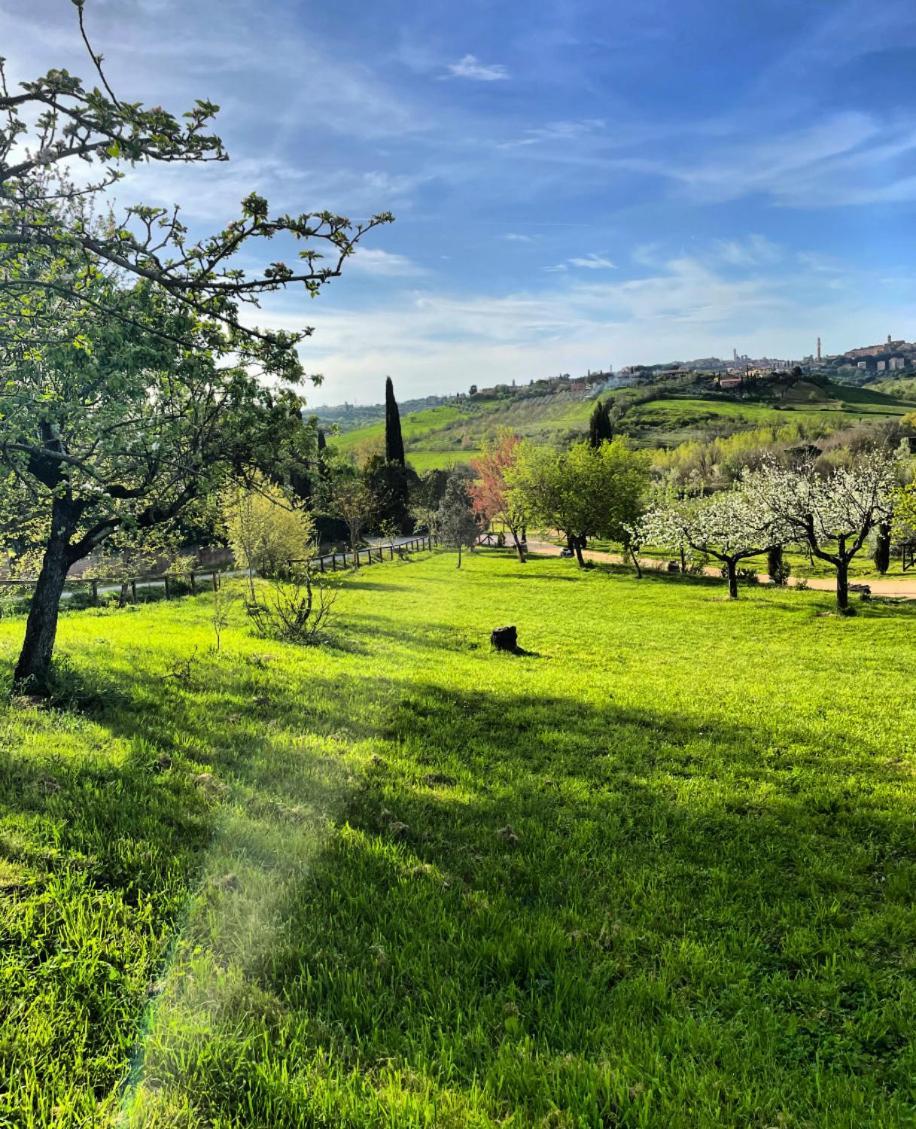 Agriturismo La Corte Del Sole Siena Kültér fotó
