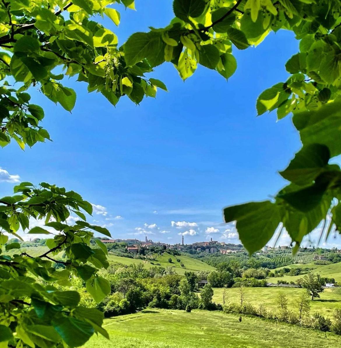 Agriturismo La Corte Del Sole Siena Kültér fotó