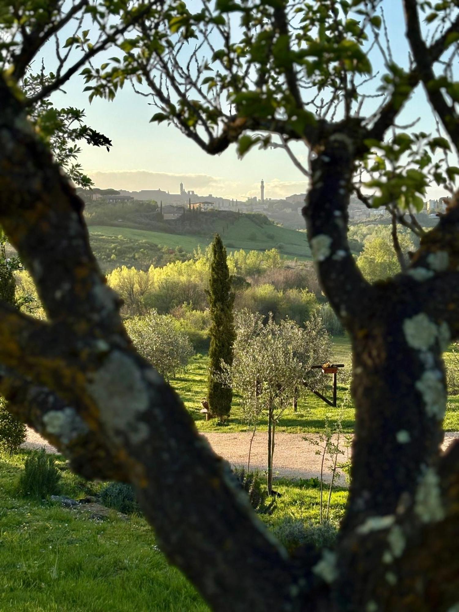 Agriturismo La Corte Del Sole Siena Kültér fotó